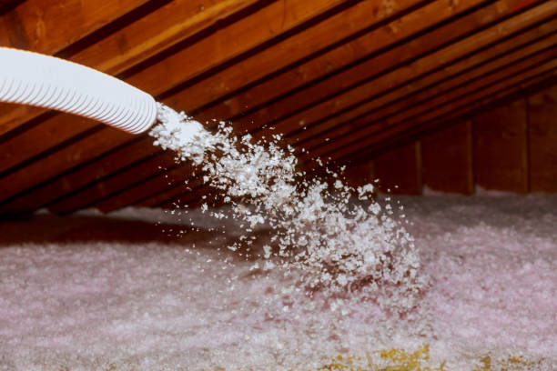 Best Energy-efficient Insulation  in Malden, MO
