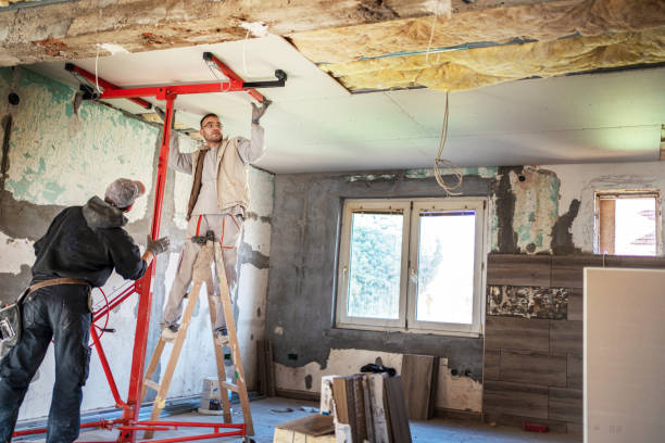 Best Insulation for New Construction  in Malden, MO