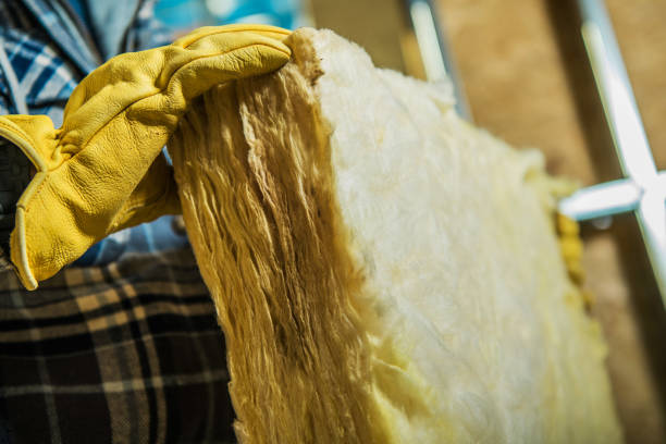 Best Affordable Insulation Services  in Malden, MO