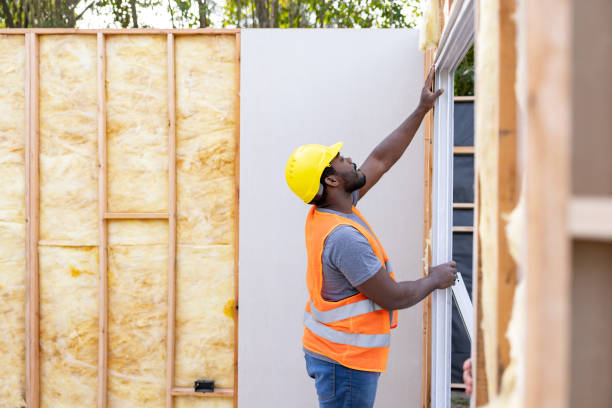 Best Local Insulation Services  in Malden, MO