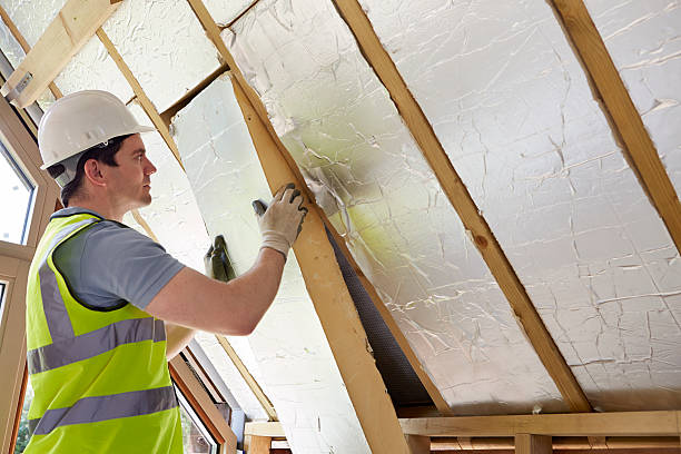 Best Best Insulation Companies  in Malden, MO