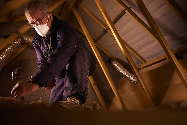 Best Attic Insulation Installation  in Malden, MO
